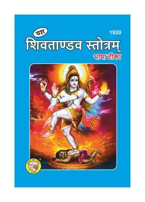 Shiva Tandav – Divine Rhythm
